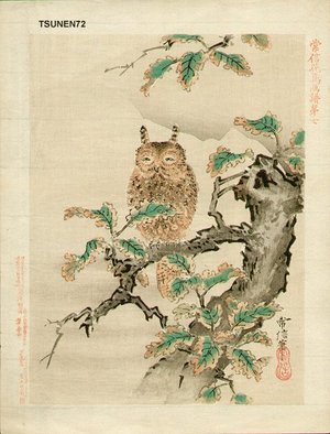 Tsunenobu: Sleeping Long-eared Owl - Asian Collection Internet Auction