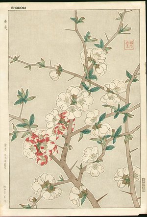 Kawarazaki, Shodo: Cherry blossoms - Asian Collection Internet Auction