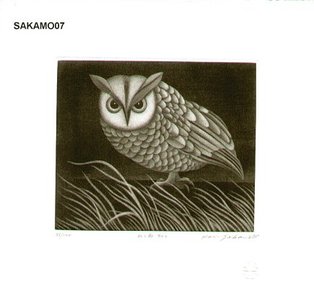 Sakamoto, Koichi: NEKODORI SONO 2 (owl 2) - Asian Collection Internet Auction