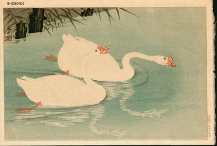 Shoson Ohara: Two geese swimming near shore - Asian Collection Internet Auction
