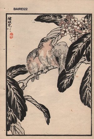 Kono Bairei: Wrens on branch, album page - Asian Collection Internet Auction
