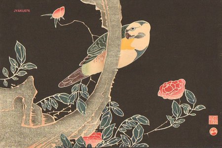 伊藤若冲: Parrot and Roses - Asian Collection Internet Auction