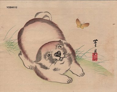 Yoshimi, Rogetsu: Puppy and butterfly - Asian Collection Internet Auction