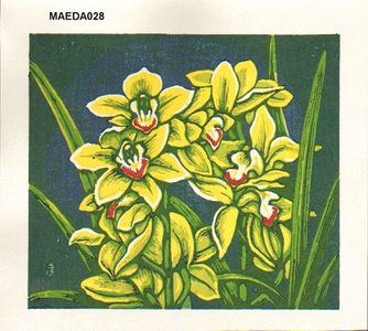 Maeda, Koichi: Orchids - Asian Collection Internet Auction