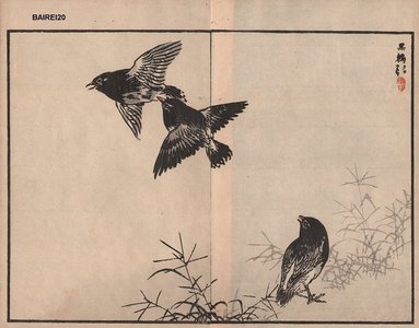 Kono Bairei: Black birds, two album pages - Asian Collection Internet Auction