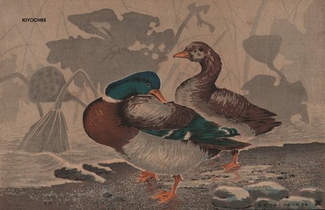 Kobayashi Kiyochika: Wild Ducks Withered Lotus - Asian Collection Internet Auction