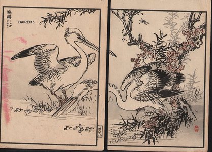 幸野楳嶺: Egrets, two album pages - Asian Collection Internet Auction