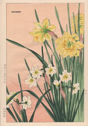 Nishimura, Hodo: Daffodil - Asian Collection Internet Auction