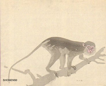 Suzuki, Shonen: Monkey - Asian Collection Internet Auction