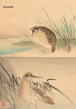 無款: Two book pages, partridge and sandpiper - Asian Collection Internet Auction
