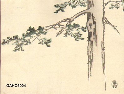 橋本雅邦: Pine tree - Asian Collection Internet Auction