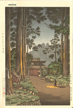 Tsuchiya Koitsu: Futarasan, Nikko - Asian Collection Internet Auction