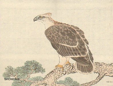 Suzuki, Shonen: Eagle - Asian Collection Internet Auction