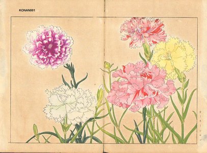 Tanagami, Konan: Carnation - Asian Collection Internet Auction
