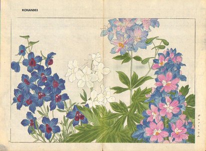 Tanagami, Konan: Delphinium - Asian Collection Internet Auction