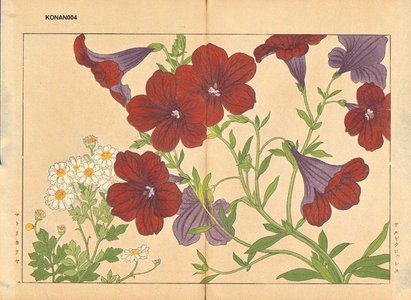 Tanagami, Konan: Salpiglossis and Matricaria - Asian Collection Internet Auction