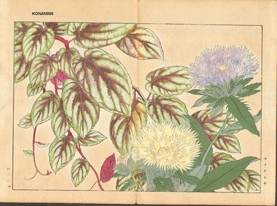 Tanagami, Konan: Stokesia and Vitis - Asian Collection Internet Auction