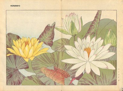 Tanagami, Konan: Nimphaea - Asian Collection Internet Auction