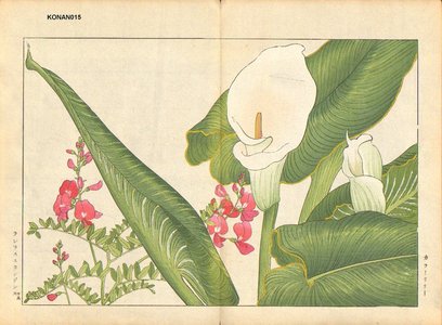 Tanagami, Konan: Callalily and Lathyrus - Asian Collection Internet Auction