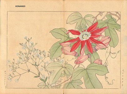Tanagami, Konan: Passiflora and Gypsophila - Asian Collection Internet Auction