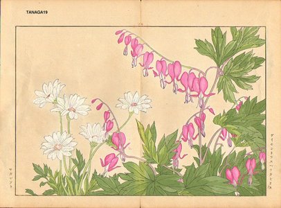 Tanagami, Konan: Dicentra Spectabilis and Marguriet - Asian Collection Internet Auction