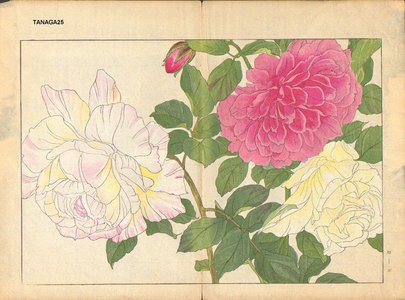 Tanagami, Konan: Rose - Asian Collection Internet Auction