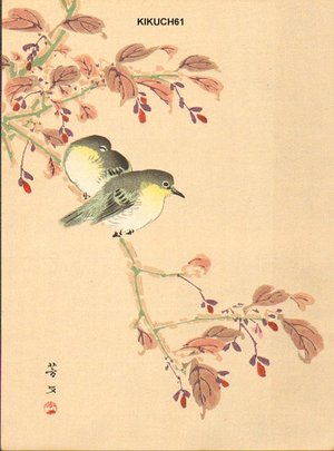 Kikuchi, Hobun: Japanese White-eye on Cherry Branch - Asian Collection Internet Auction