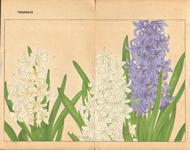 Tanagami, Konan: Hyachinthus - Asian Collection Internet Auction