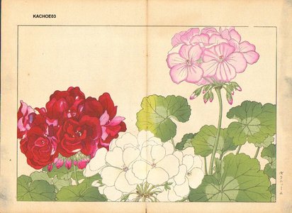 Tanagami, Konan: Gerinium - Asian Collection Internet Auction