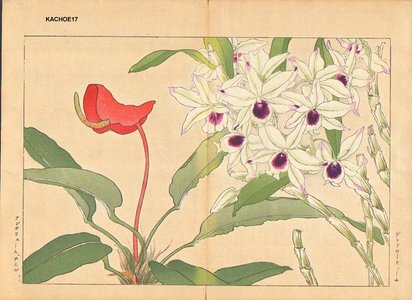 Tanagami, Konan: Dendobium and Anthirium Chel - Asian Collection Internet Auction