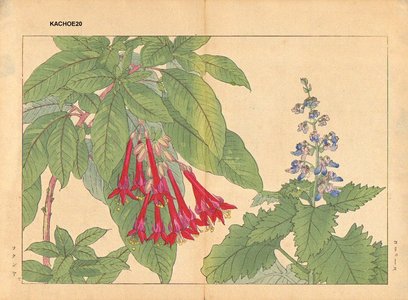 Tanagami, Konan: Coleus and Fuchsia - Asian Collection Internet Auction