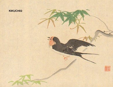 Kikuchi, Hobun: Swallow on maple - Asian Collection Internet Auction