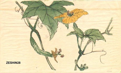 Shibata Zeshin: Cucumber flowers - Asian Collection Internet Auction