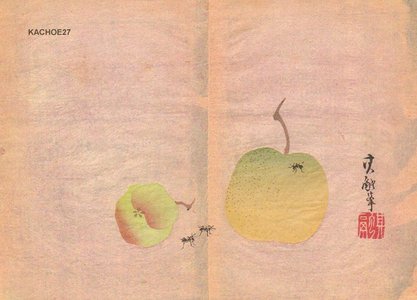 無款: Apples and ants - Asian Collection Internet Auction