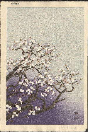 Kotozuka Eiichi: Cherry Blossoms - Asian Collection Internet Auction