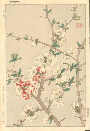 Kawarazaki, Shodo: Japanese quince - Asian Collection Internet Auction