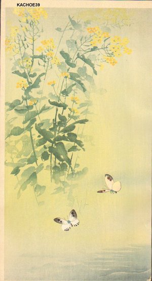 Not signed: Flowers and butterflies - Asian Collection Internet Auction