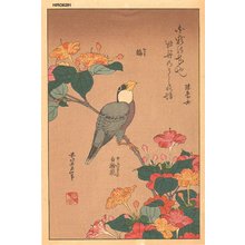 歌川広重: Java sparrow - Asian Collection Internet Auction