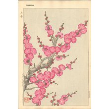 Kawarazaki, Shodo: Red Plum Blossoms - Asian Collection Internet Auction