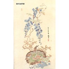 Japanese Print "Sparrow nest and wisteria" by Bongashira, Shunnan