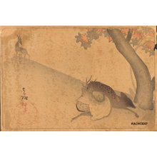 Japanese Print "Deer" by Not read (Signature not read)