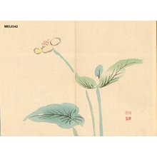 Unknown: Water plant - Asian Collection Internet Auction