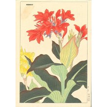 Nishimura, Hodo: Canna Lily - Asian Collection Internet Auction