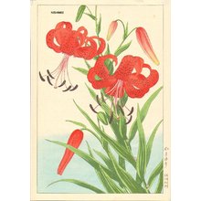 Nishimura, Hodo: Tiger lilies - Asian Collection Internet Auction