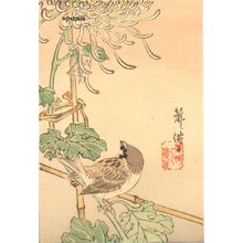 Ryusen, Komai: Sparrow and Chrysanthemum - Asian Collection Internet Auction