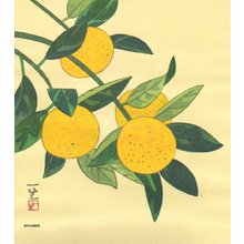 Nomura, Issho: Satsuma Oranges - Asian Collection Internet Auction