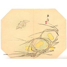 Kawabata Gyokusho: Moths and cocoons - Asian Collection Internet Auction