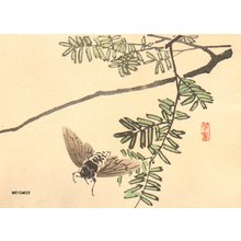 Kikuchi, Hobun: Cicada - Asian Collection Internet Auction