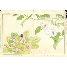 Not signed: Floral - Asian Collection Internet Auction