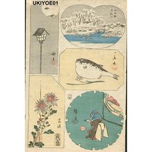 Japanese Print "FUGU, Machichi Mt. etc." by Suzuki Hiroshige (Hiroshige)